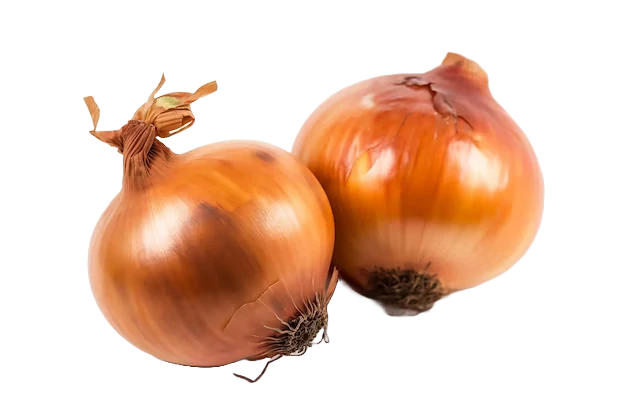 cebolla-2