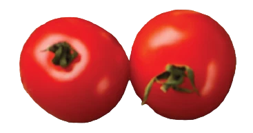 tomate